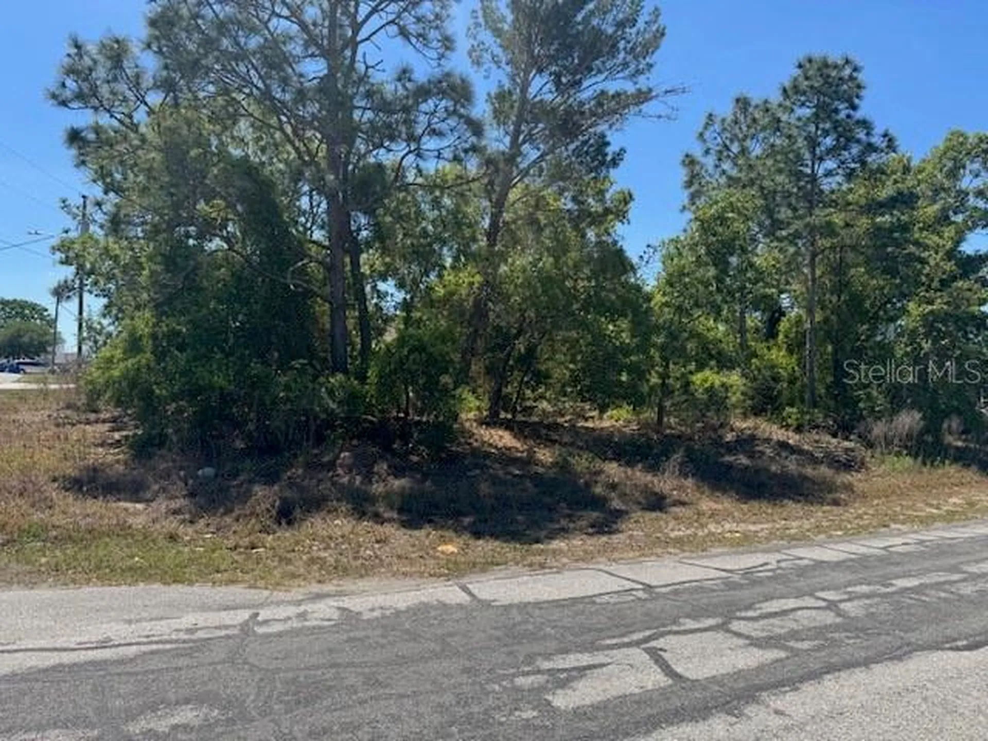 11364 Patch Street Spring Hill FL 34609