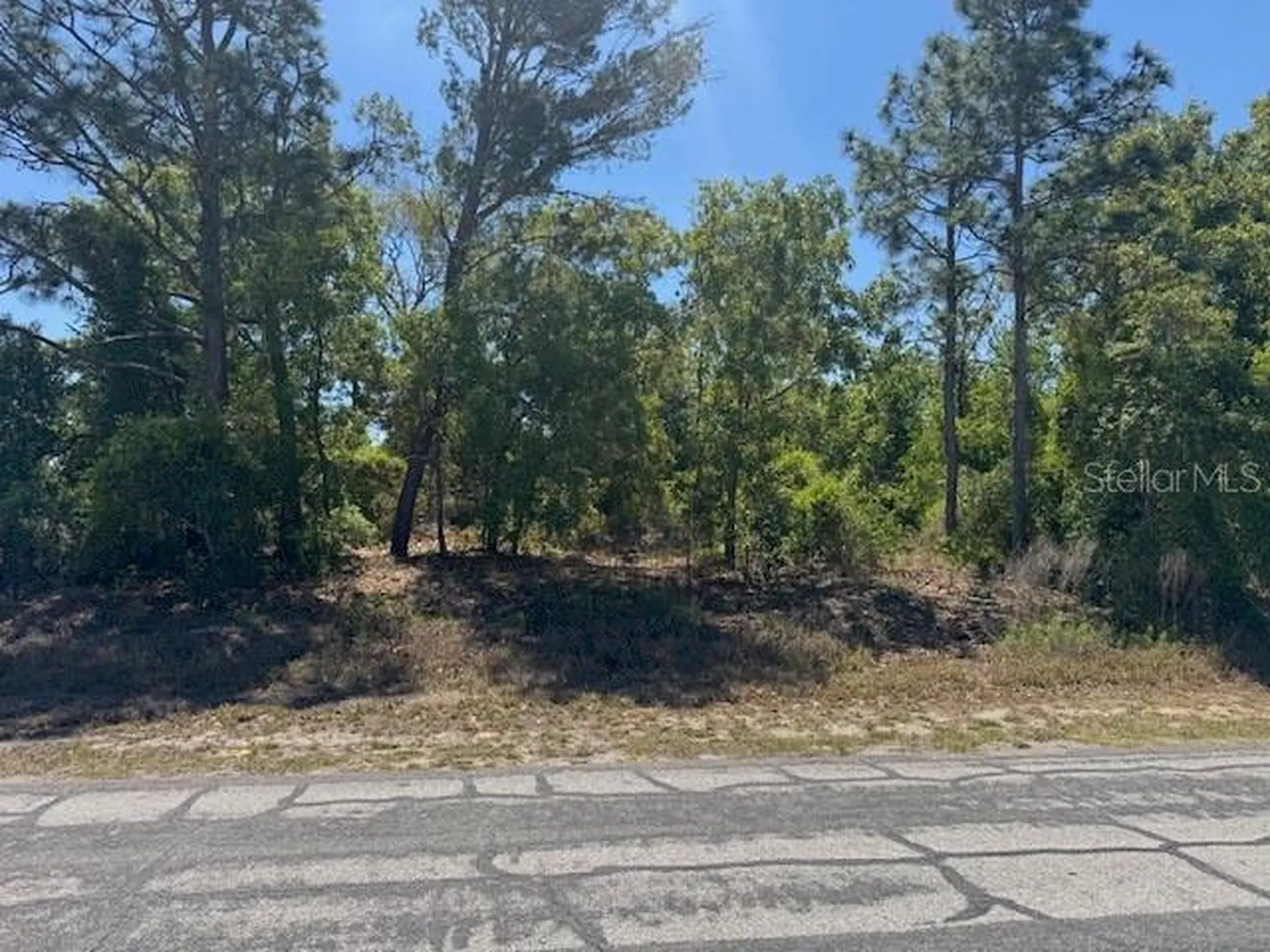 11364 Patch Street Spring Hill FL 34609