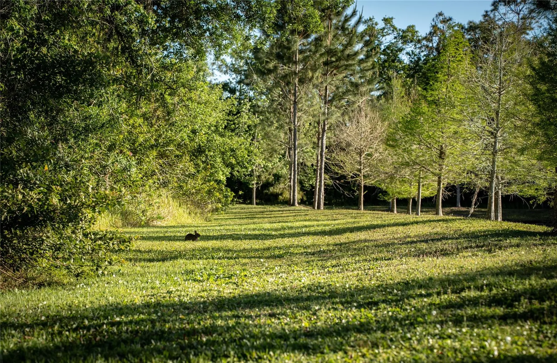 19101 Magnolia Farms Lane Odessa FL 33556
