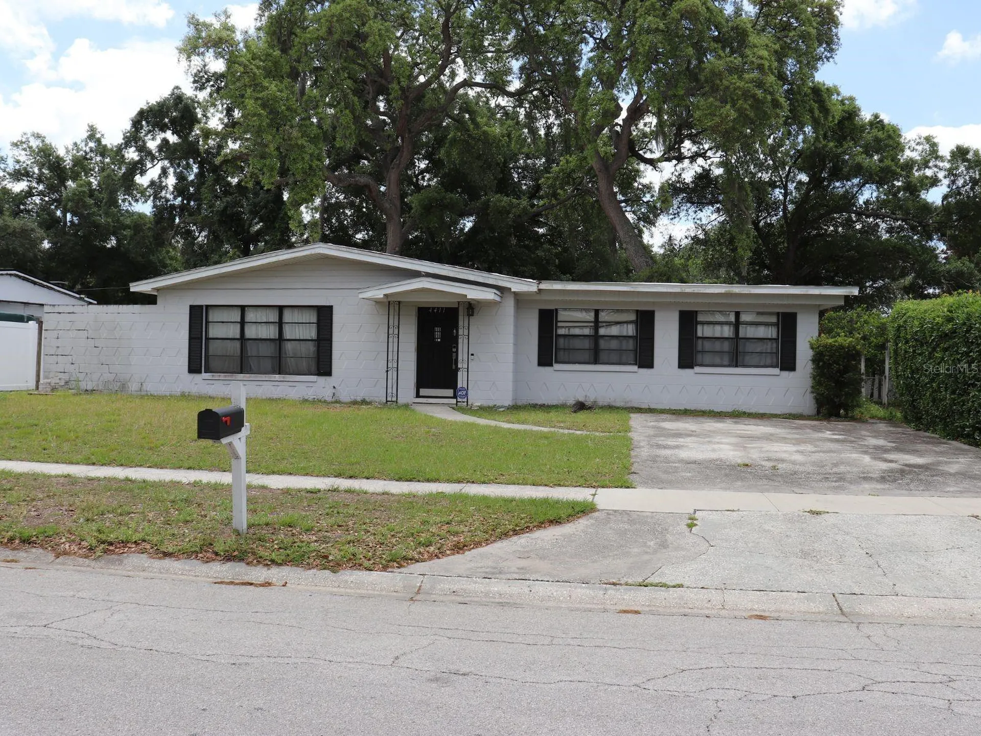 4411 Bass Street Tampa FL 33617