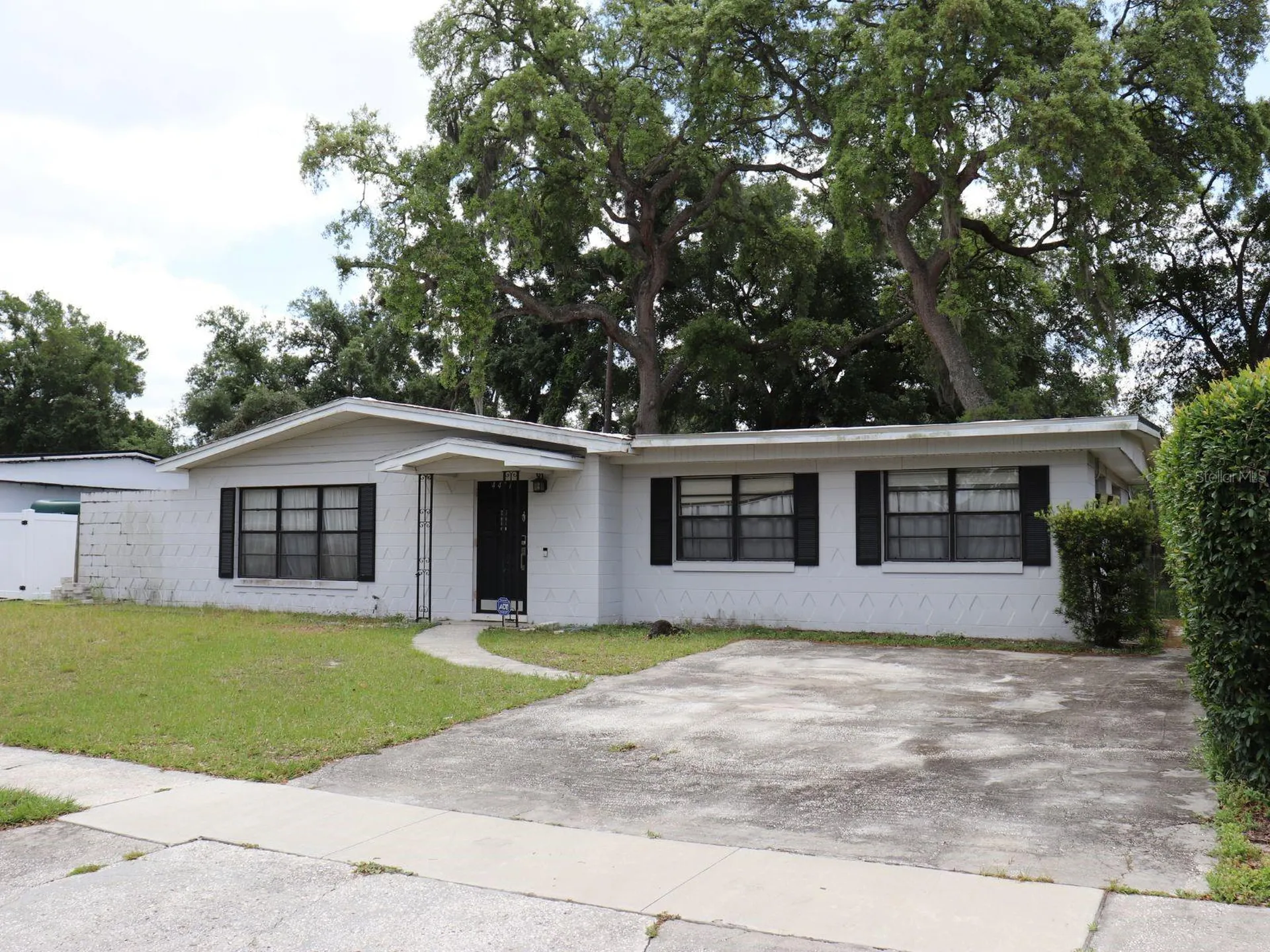 4411 Bass Street Tampa FL 33617