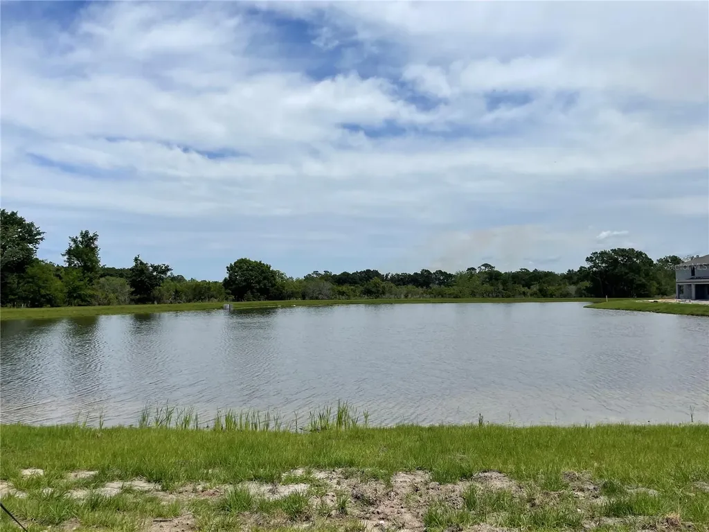 9766 Campanula Court Land O Lakes FL 34637