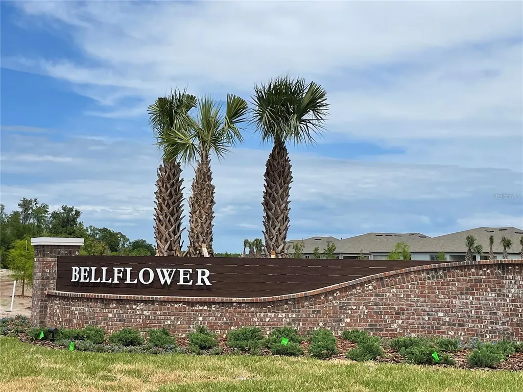 9766 Campanula Court Land O Lakes FL 34637