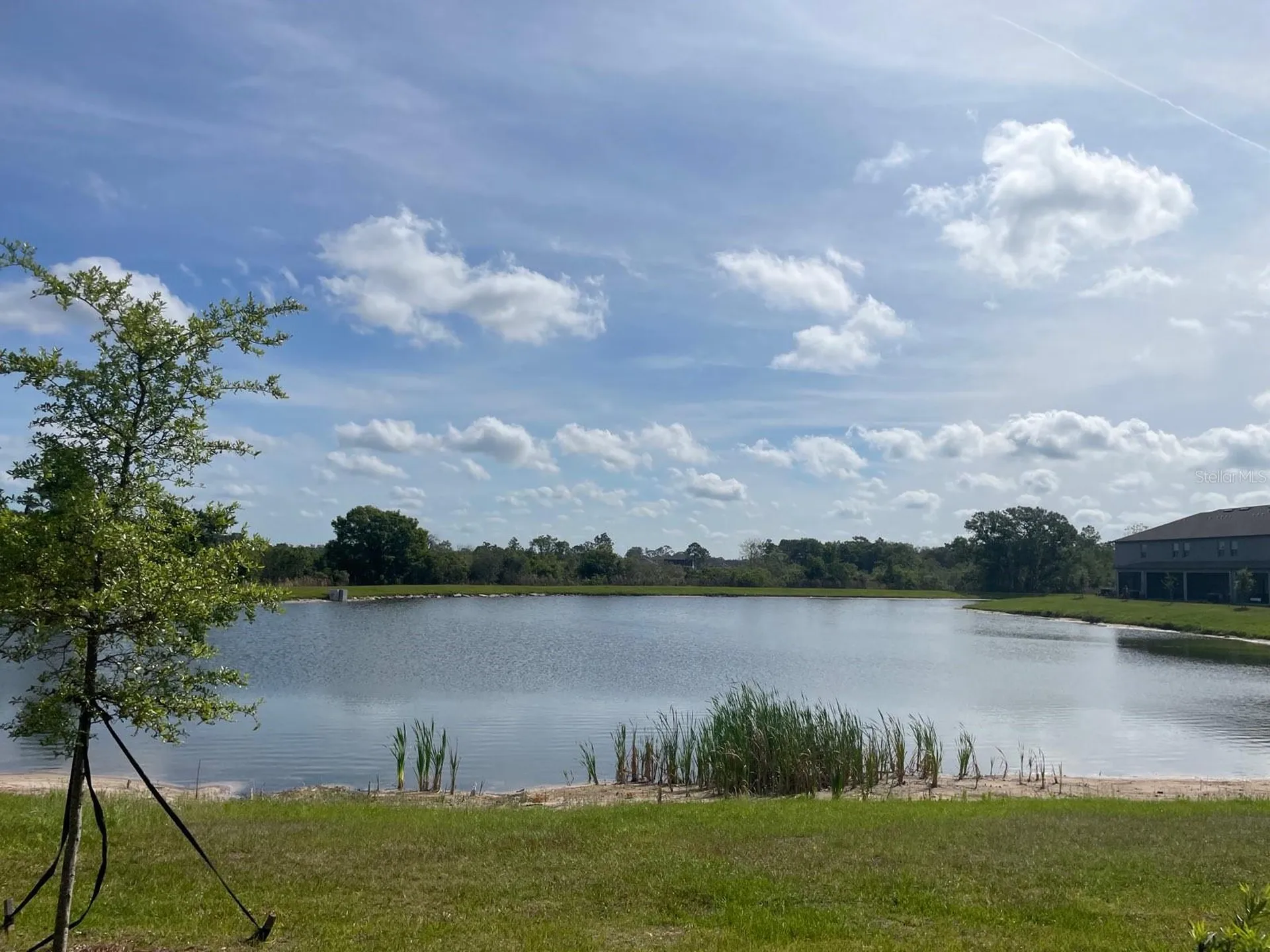 9766 Campanula Court Land O Lakes FL 34637