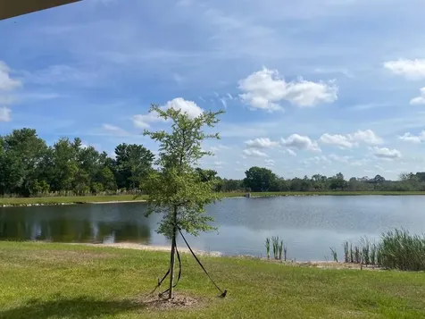 9766 Campanula Court Land O Lakes FL 34637