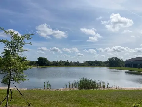 9766 Campanula Court Land O Lakes FL 34637