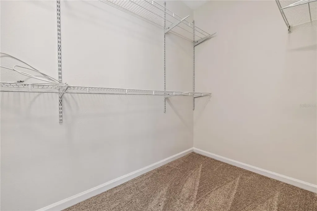 8520 Sandy Beach Street Tampa FL 33634