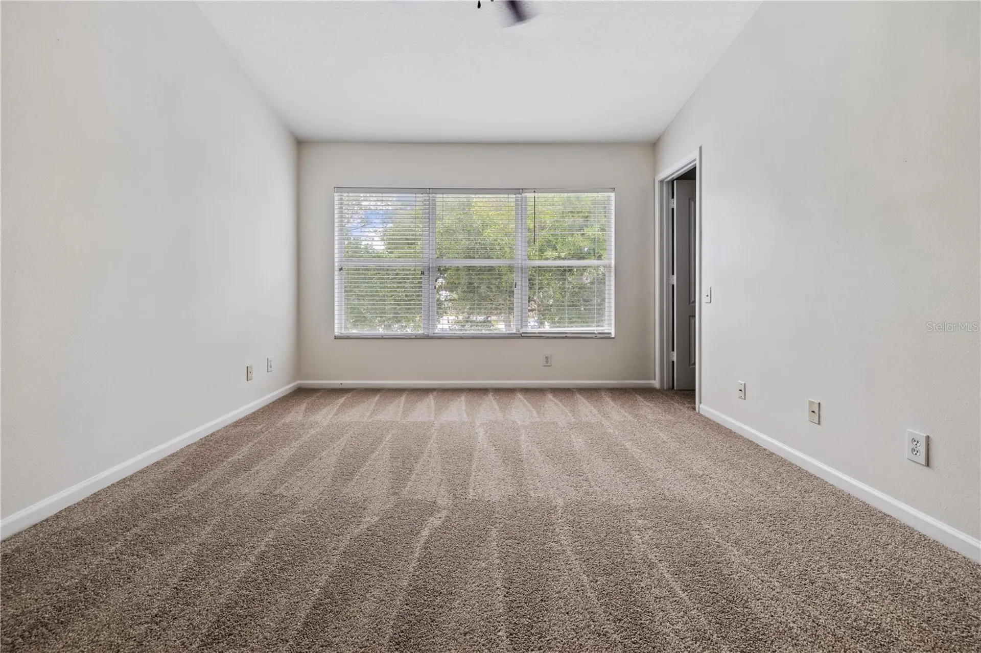 8520 Sandy Beach Street Tampa FL 33634