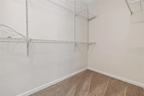 8520 Sandy Beach Street Tampa FL 33634