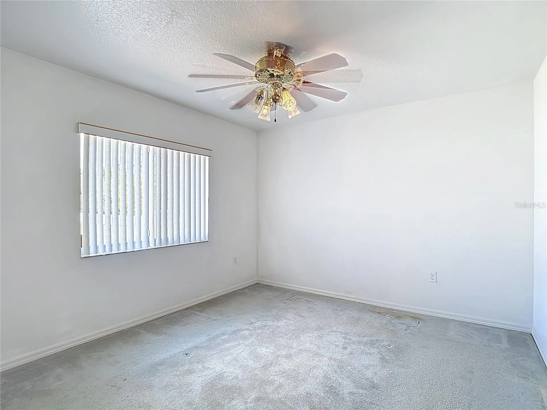 8110 Nightwalker Road Weeki Wachee FL 34613