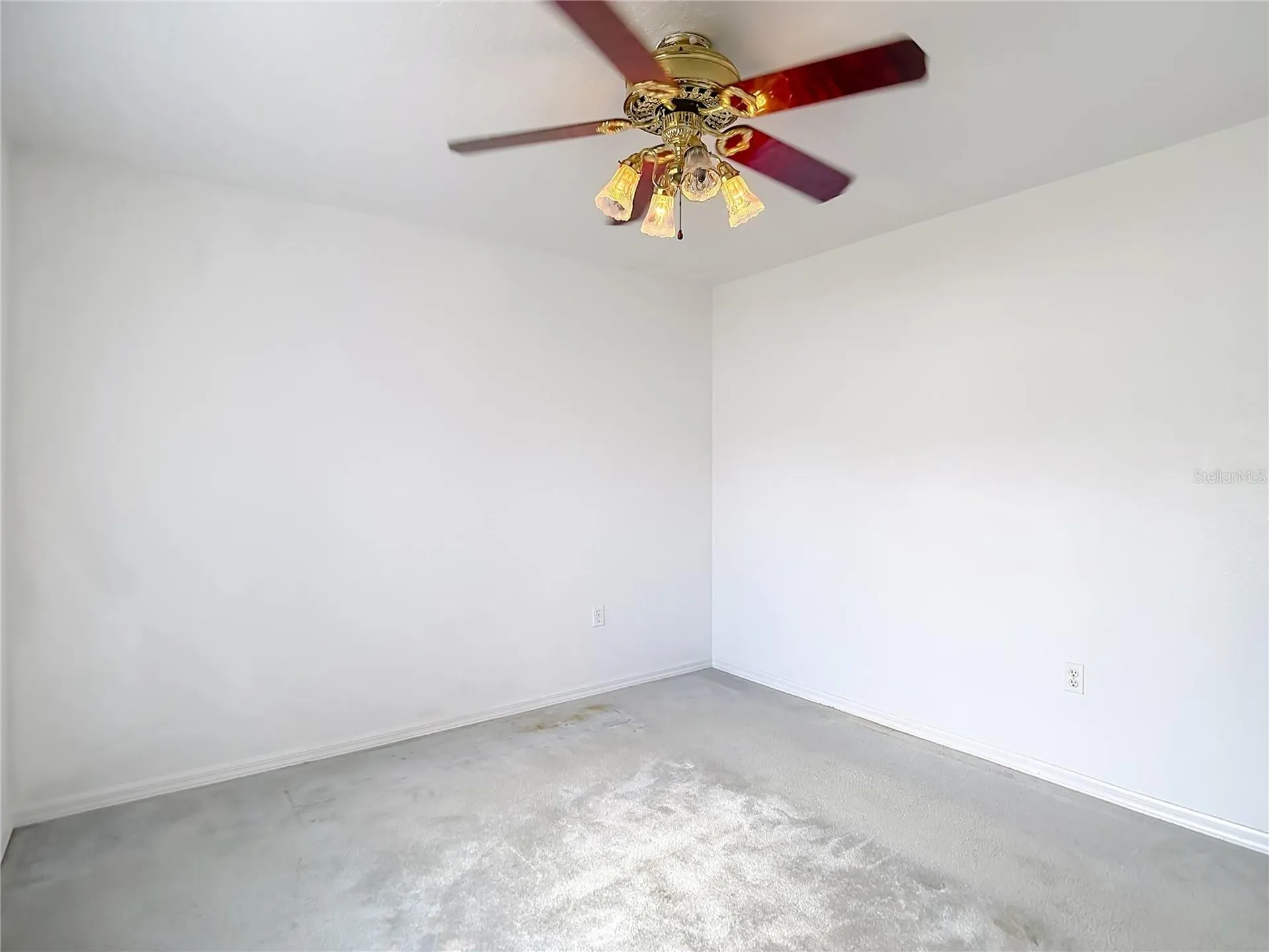 8110 Nightwalker Road Weeki Wachee FL 34613