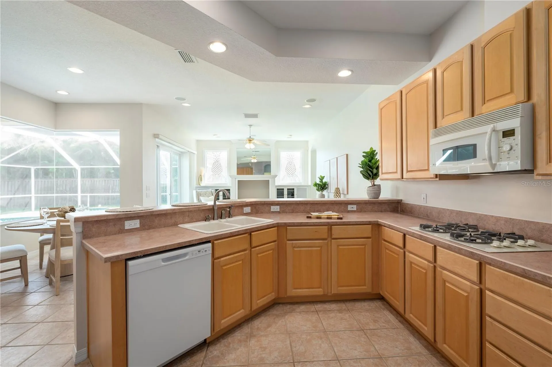 10506 Brentford Drive Tampa FL 33626