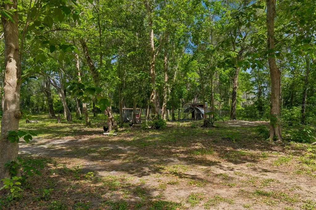 17114 Brittle Road Brooksville FL 34601