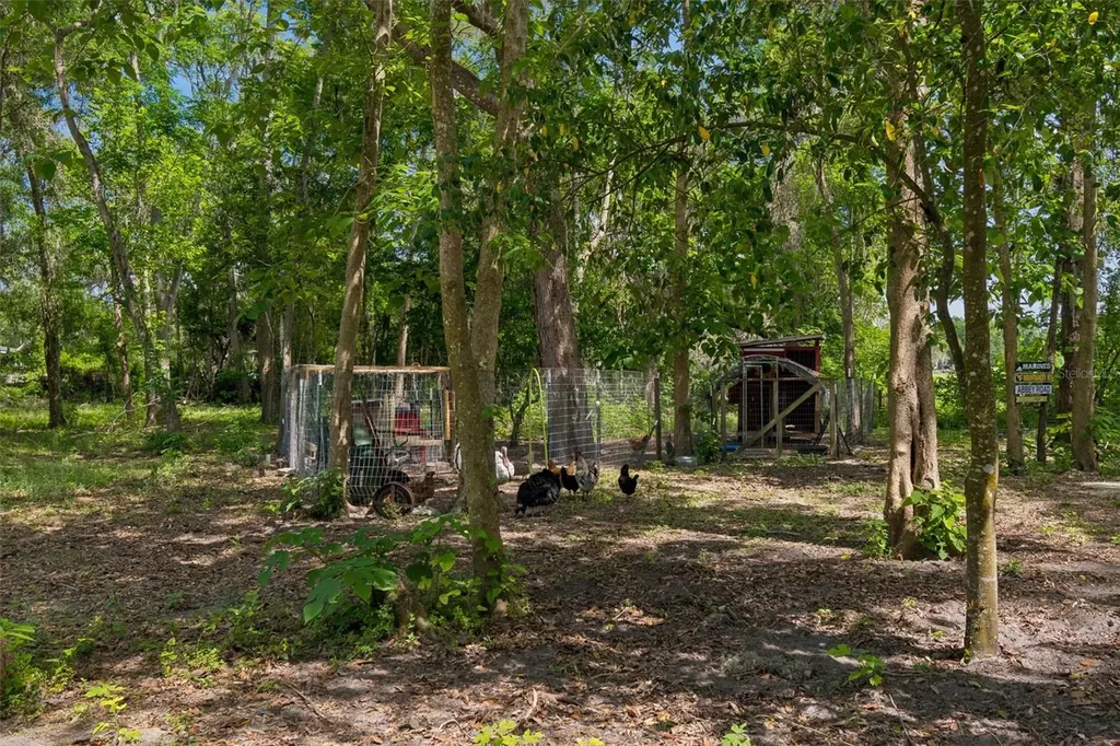 17114 Brittle Road Brooksville FL 34601