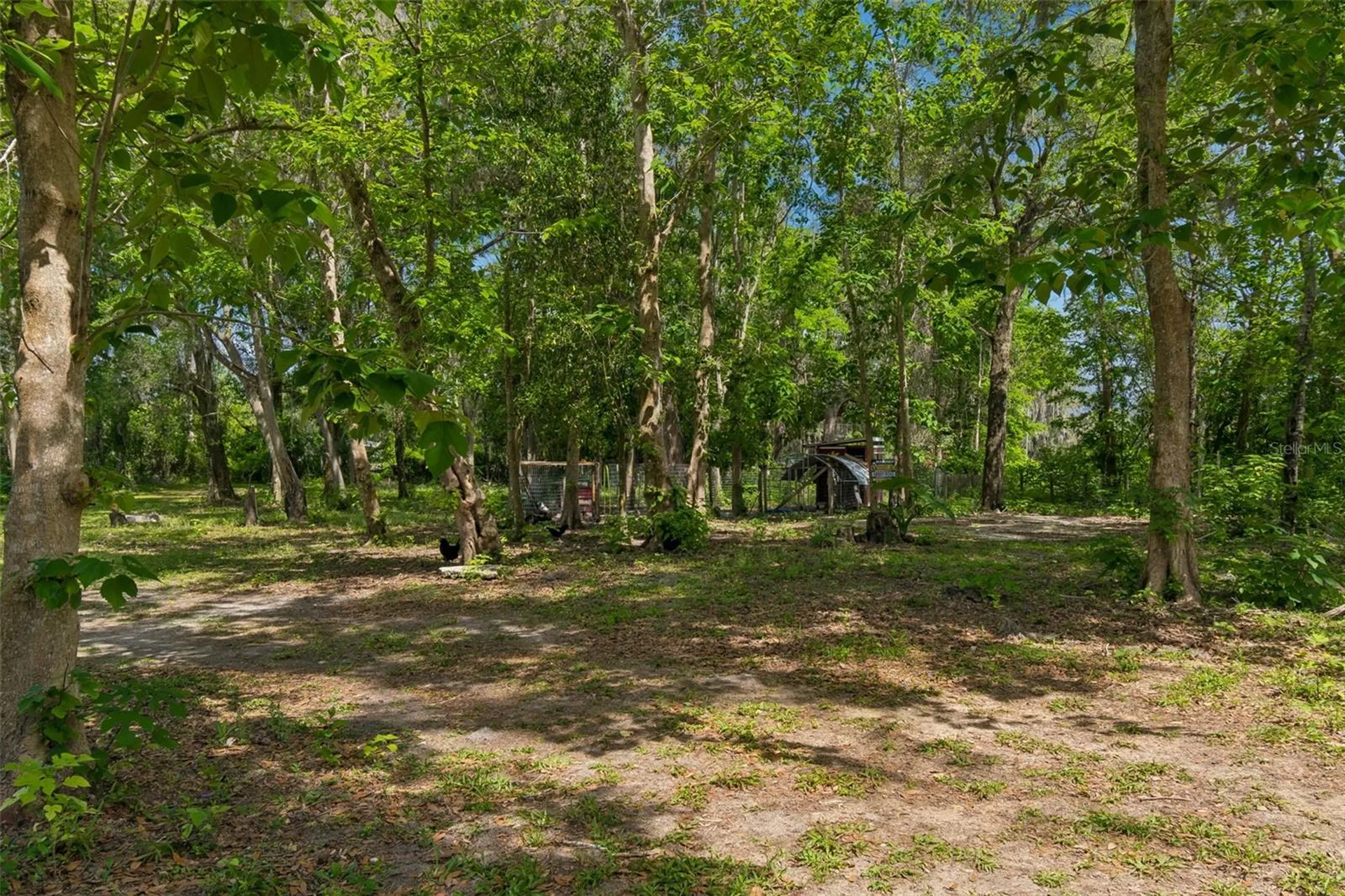 17114 Brittle Road Brooksville FL 34601