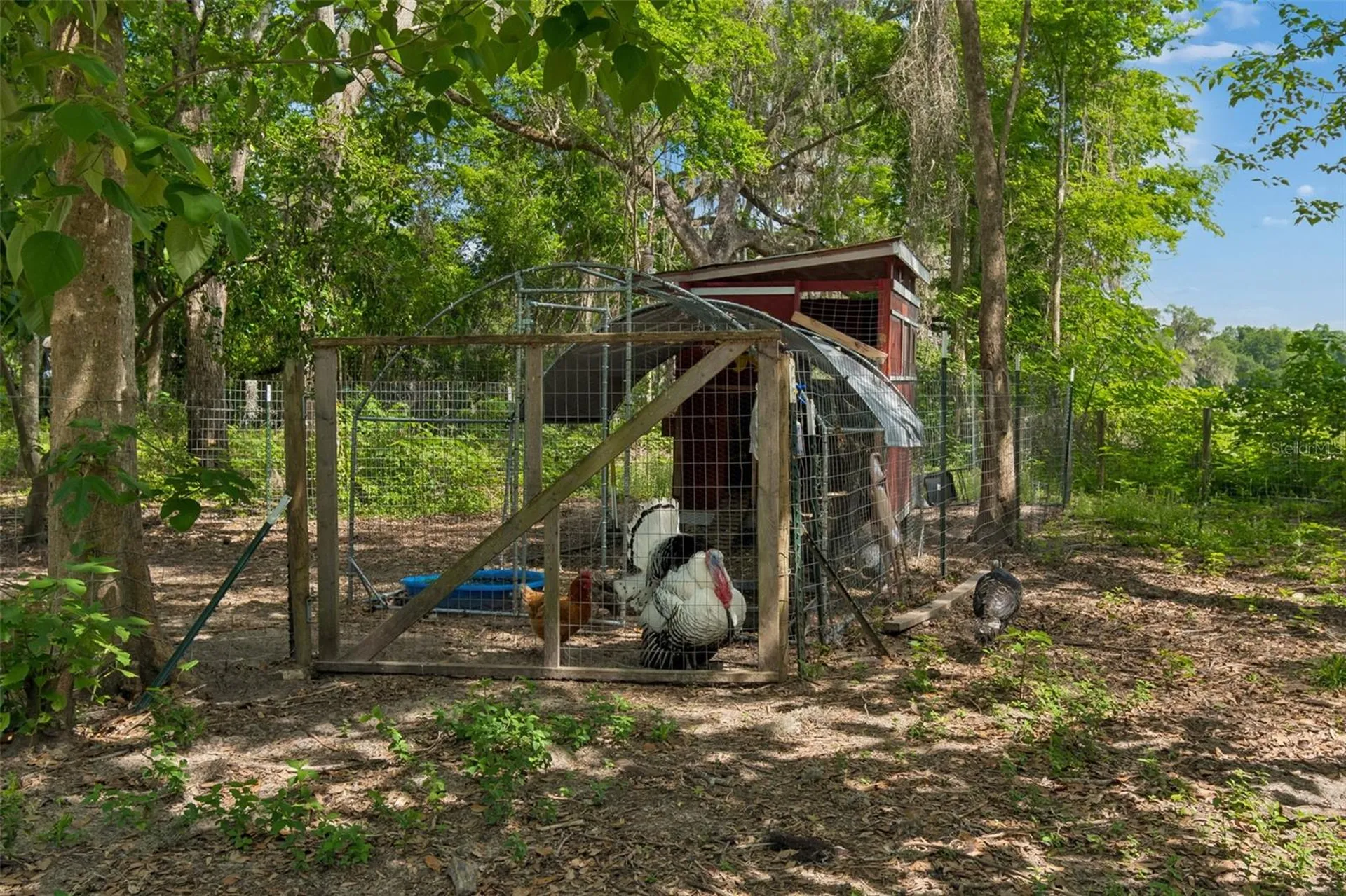 17114 Brittle Road Brooksville FL 34601
