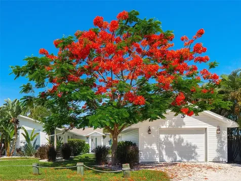 3 Michiana Place Terra Ceia FL 34250