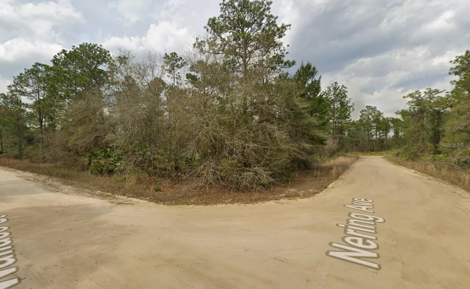 Lot 18 Wallace Street Interlachen FL 32148