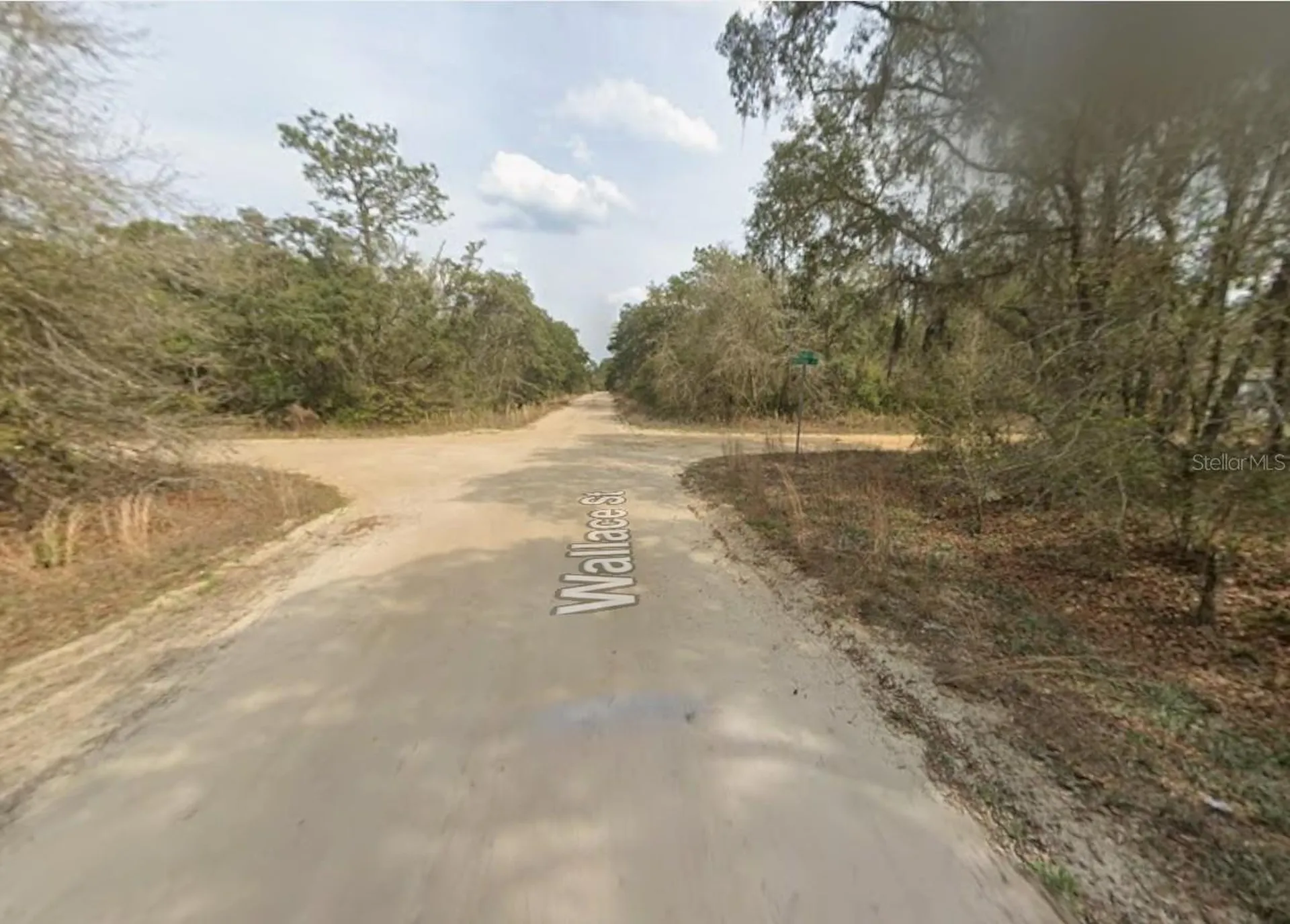 Lot 18 Wallace Street Interlachen FL 32148