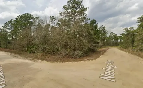 Lot 18 Wallace Street Interlachen FL 32148