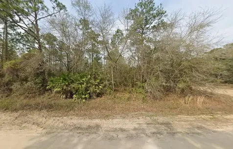 Lot 18 Wallace Street Interlachen FL 32148