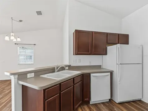 3046 Nutwood Avenue The Villages FL 32163