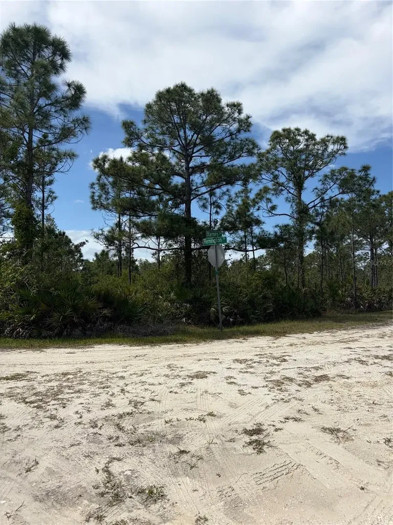 28131 Ramiro Drive Punta Gorda FL 33955