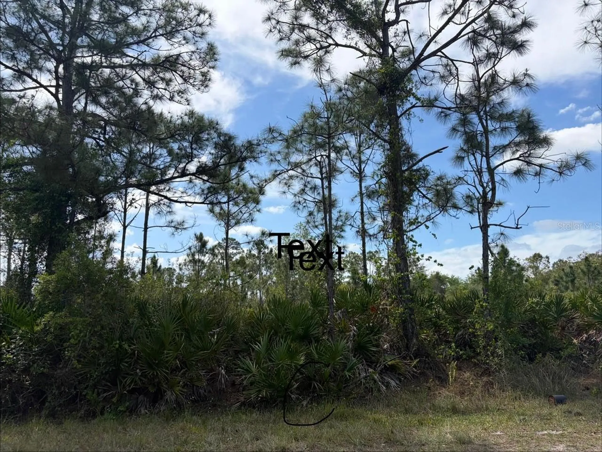 28131 Ramiro Drive Punta Gorda FL 33955
