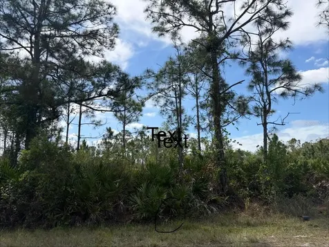 28131 Ramiro Drive Punta Gorda FL 33955