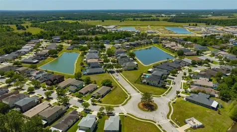 4017 Waterville Avenue Wesley Chapel FL 33543