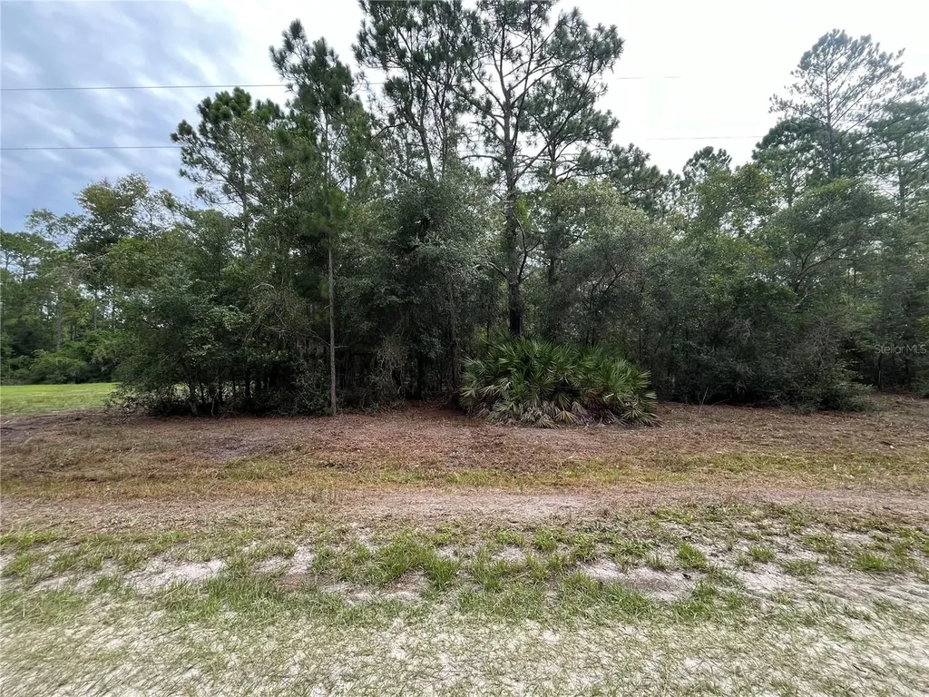 124 Glenside Street Georgetown FL 32139