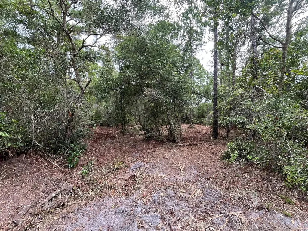 124 Glenside Street Georgetown FL 32139