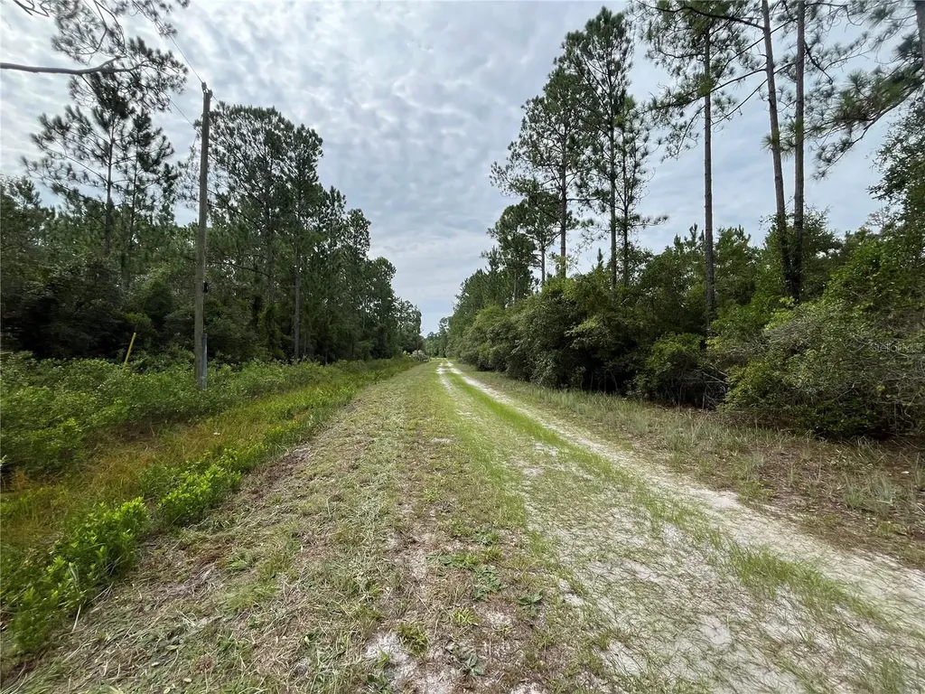 124 Glenside Street Georgetown FL 32139