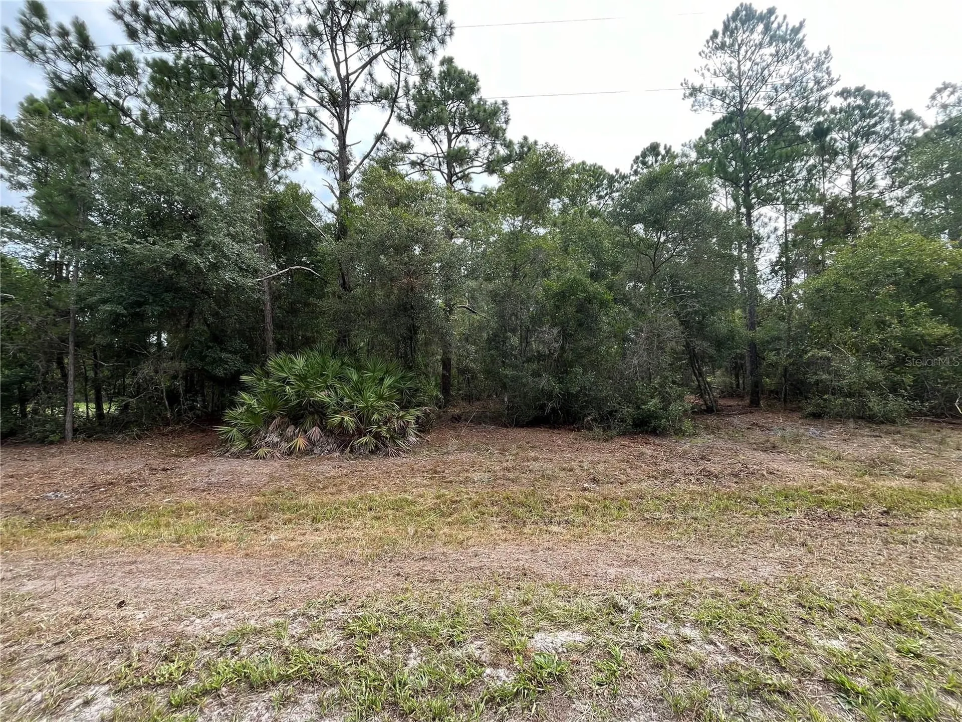 124 Glenside Street Georgetown FL 32139
