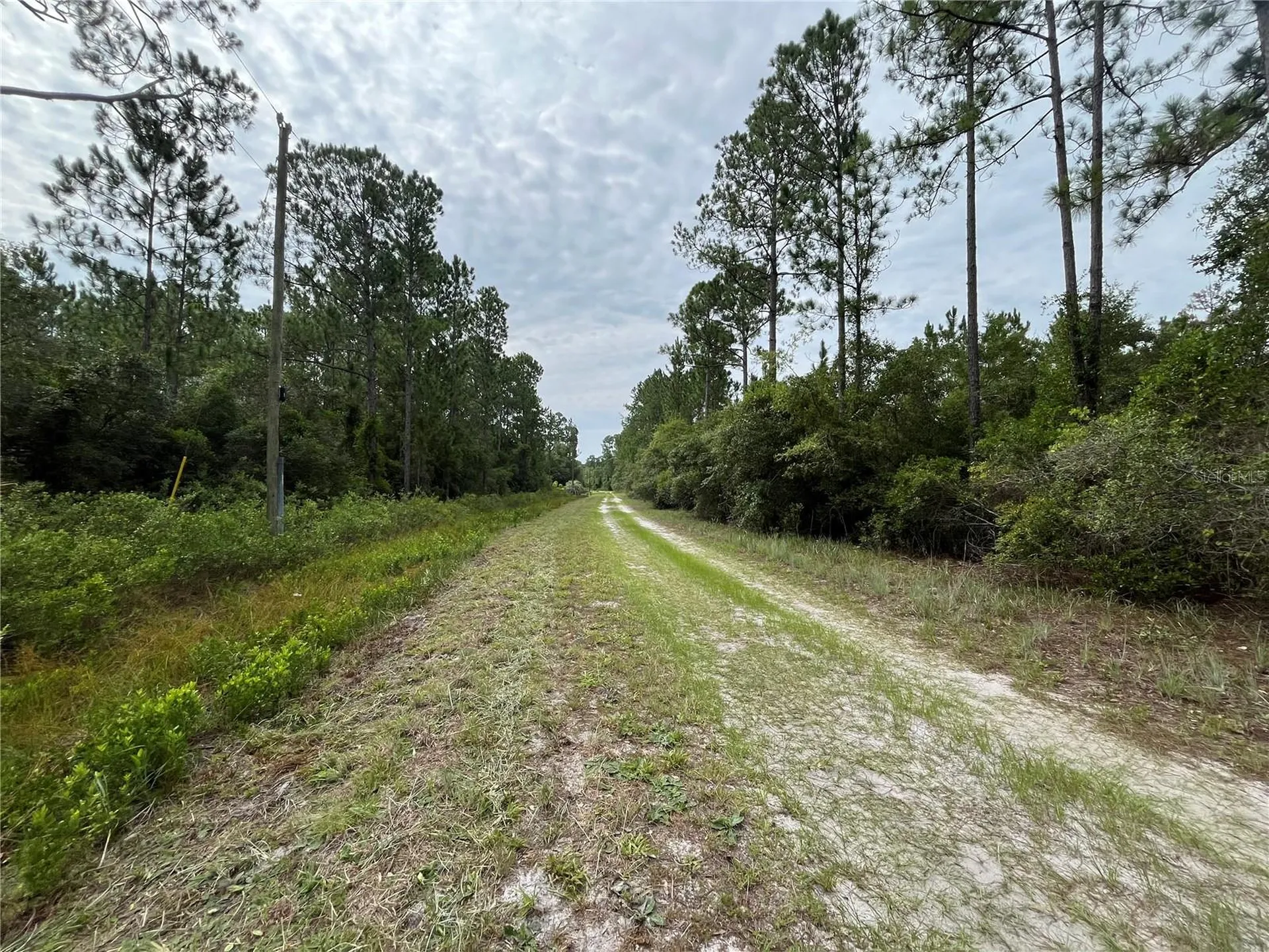124 Glenside Street Georgetown FL 32139