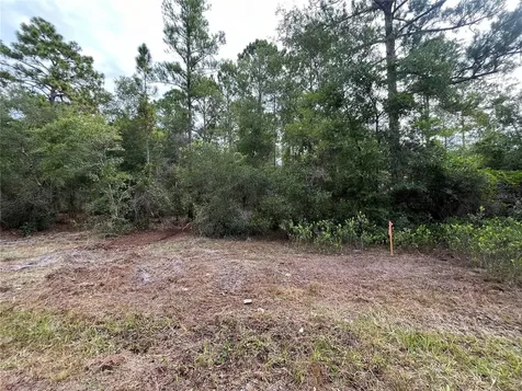 124 Glenside Street Georgetown FL 32139