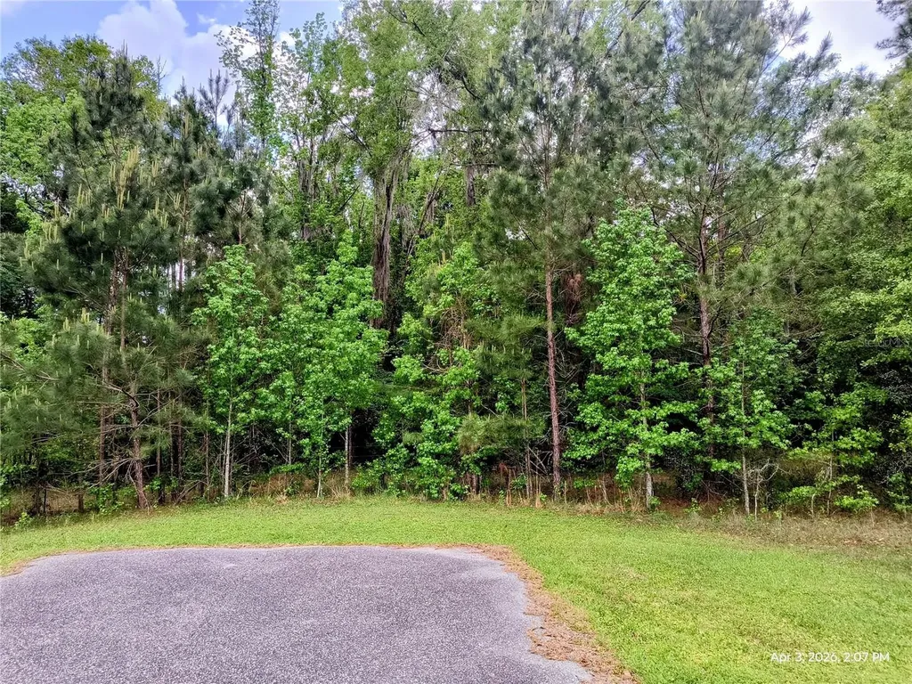 14095 NW 141st Avenue Williston FL 32696