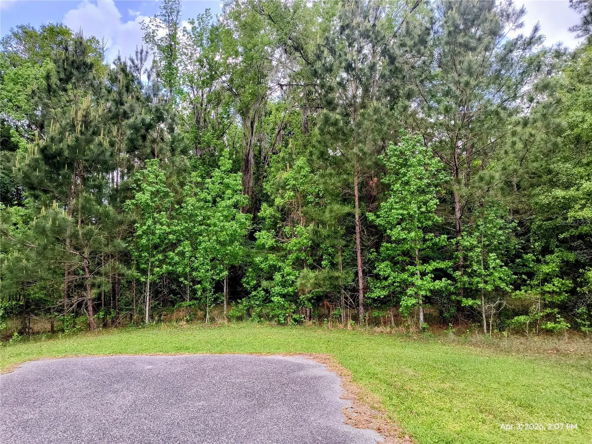 14095 NW 141st Avenue Williston FL 32696