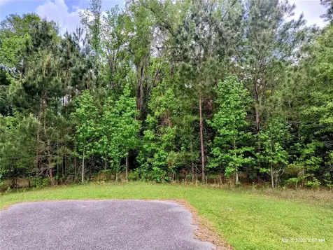 14095 NW 141st Avenue Williston FL 32696