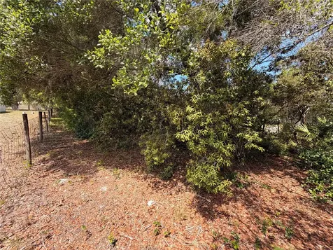 472 Shaw Lake Road Pierson FL 32180