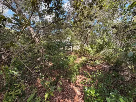 472 Shaw Lake Road Pierson FL 32180