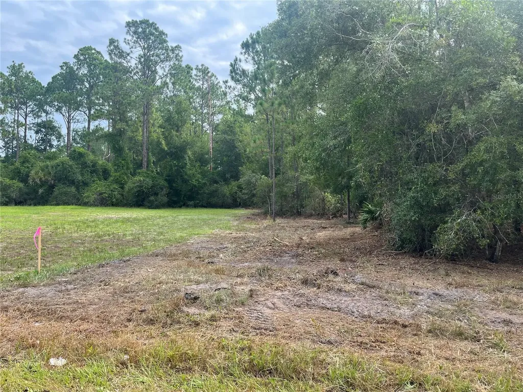 122 Glenside Street Georgetown FL 32139