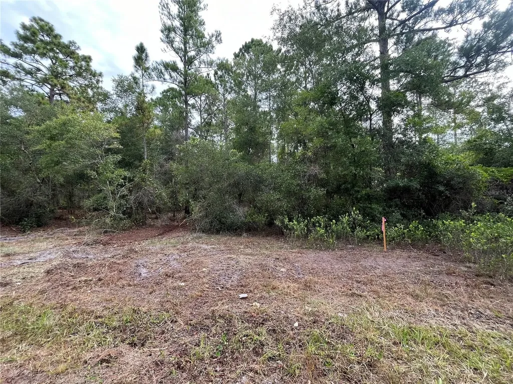 122 Glenside Street Georgetown FL 32139