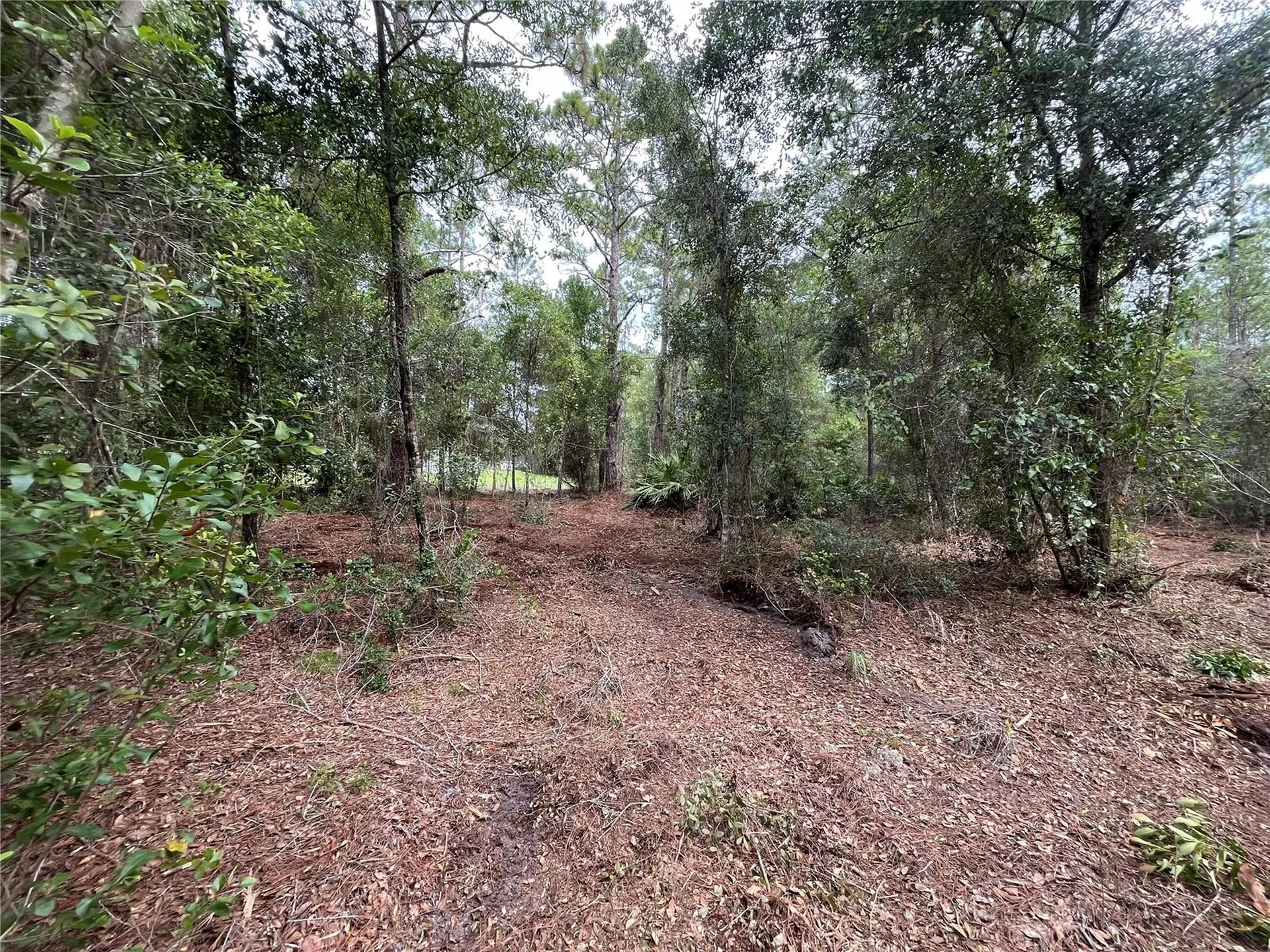 122 Glenside Street Georgetown FL 32139