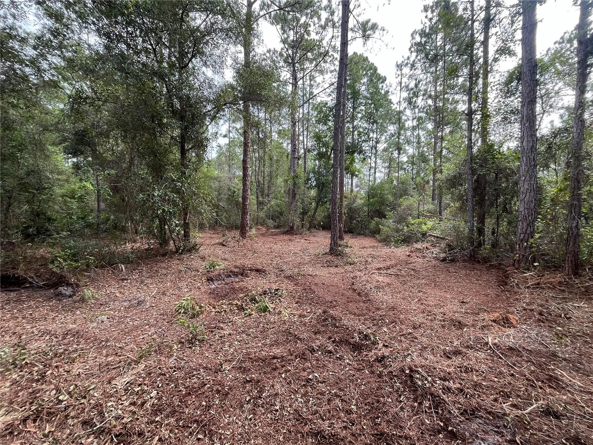 122 Glenside Street Georgetown FL 32139