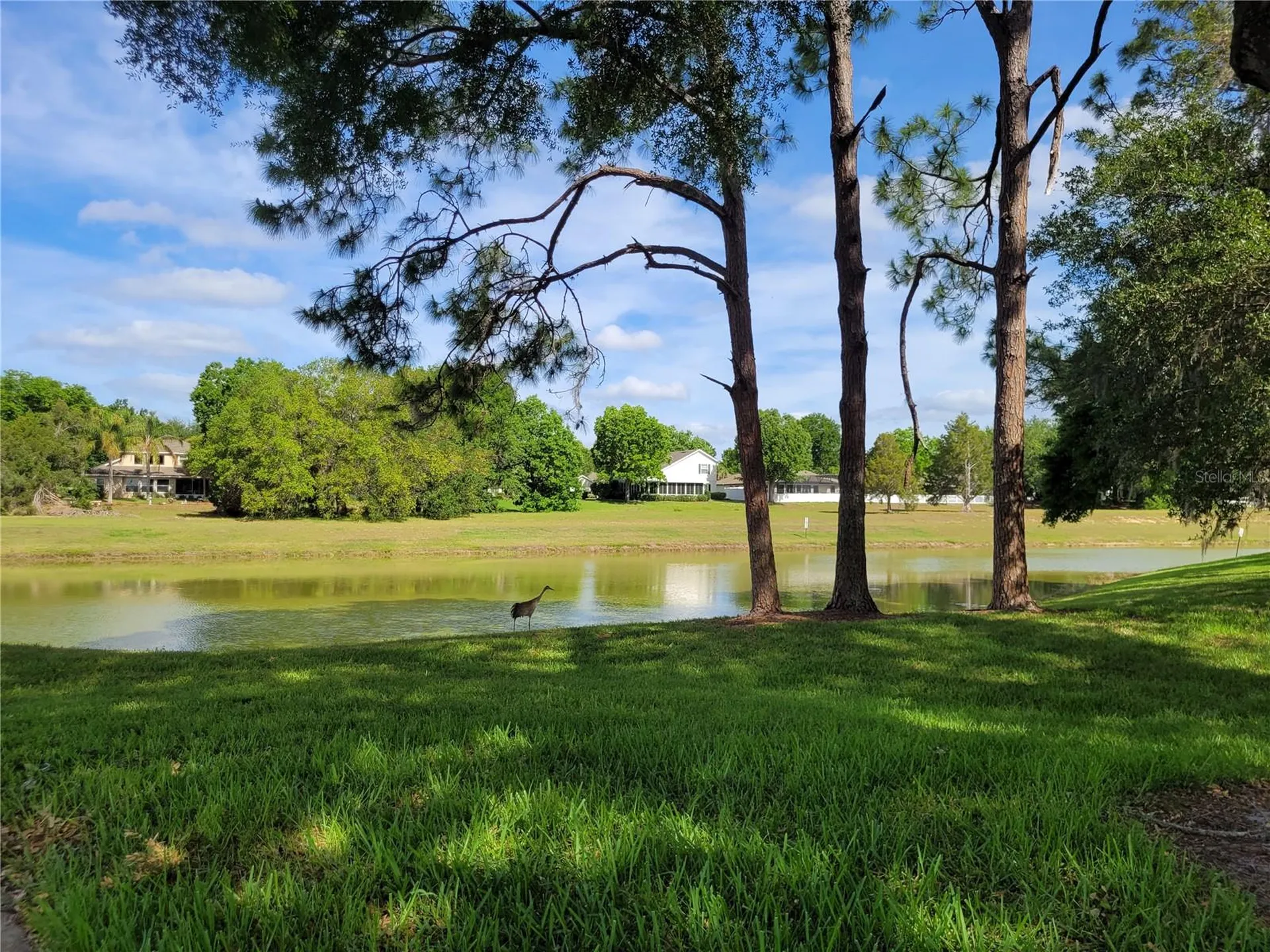 432 Baytree Boulevard Tavares FL 32778