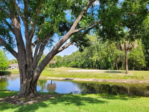 432 Baytree Boulevard Tavares FL 32778
