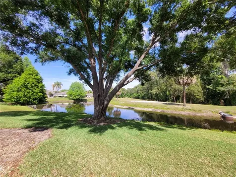 432 Baytree Boulevard Tavares FL 32778