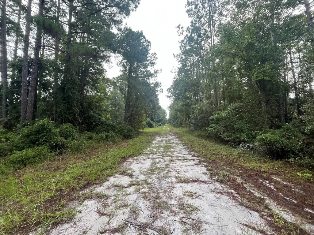 120 Gardenia Avenue Georgetown FL 32139
