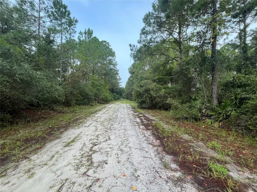 120 Gardenia Avenue Georgetown FL 32139